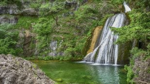 Medioambiente en español, por qué medioambiente se escribe junto según la RAE, medioambiente o medio ambiente, cómo escribir medioambiente en castellano, medio ambiente incorrecto para la RAE.
