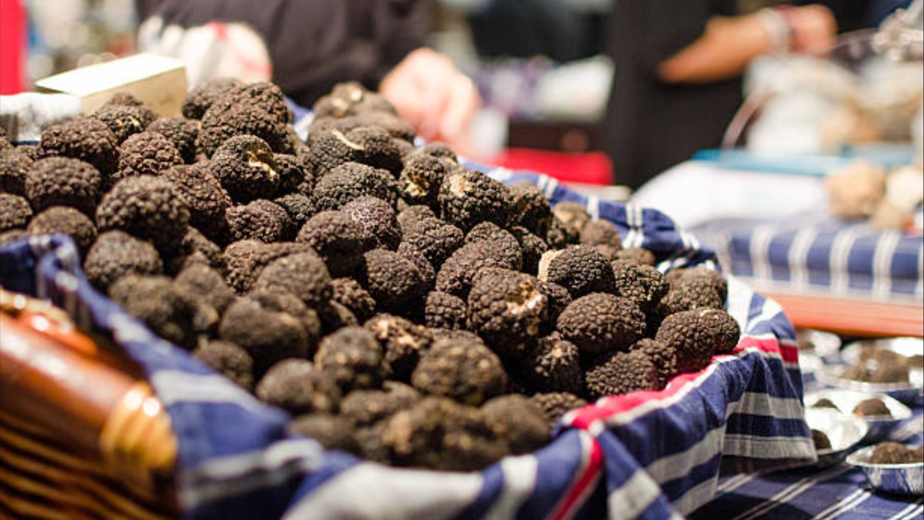 En este pequeño pueblo de Soria se celebra la feria de la trufa: el