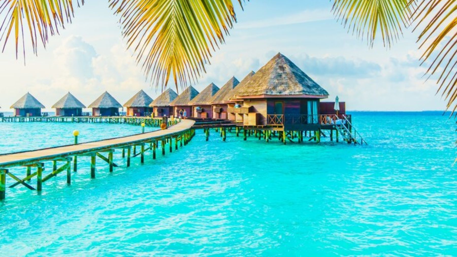 Mario, español que vive en Australia: Con lo que gano en una semana puedo irme de vacaciones a las Islas Maldivas