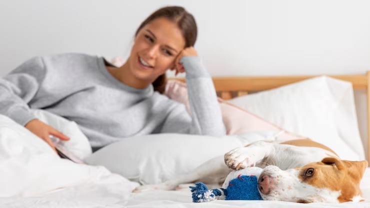 Hacienda lo confirma: si tienes mascotas, ahorrarás en tu declaración de la renta