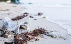 Los biólogos, en jaque: encuentran residuos microplásticos en los ecosistemas de 30 ríos y 22 playas españolas