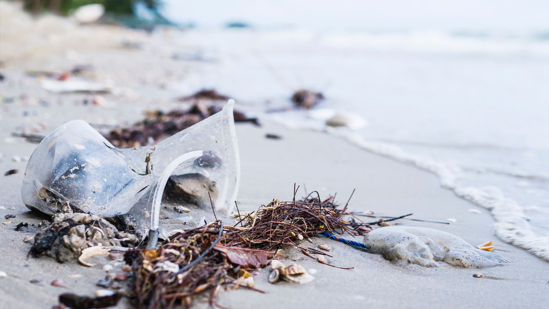 Los biólogos, en jaque: encuentran residuos microplásticos en los ecosistemas de 30 ríos y 22 playas españolas