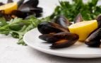 origen mejillones