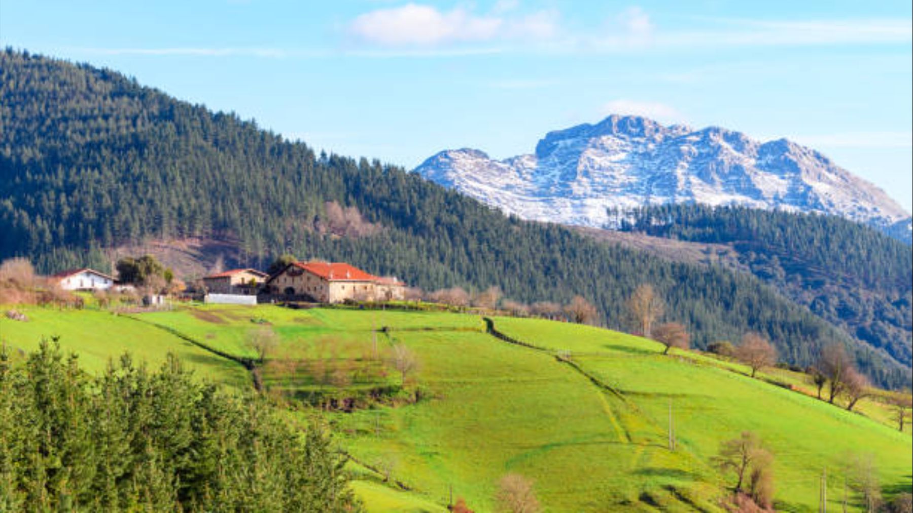 El misterioso apellido vizcaíno a punto de desparecer: sólo lo tienen 29 personas en el mundo