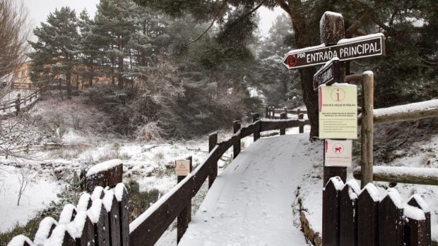 alfonso-marcos-vidal-nieve