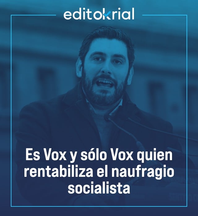 Es Vox y sólo Vox quien rentabiliza el naufragio socialista