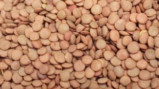 Lentejas y Feng Shui