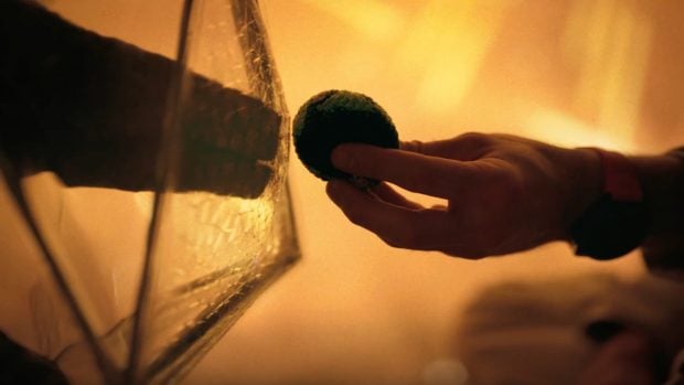 Proyecto Salvaci&oacute;n