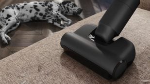 Aspiradora sin cable AEG Animal 8000