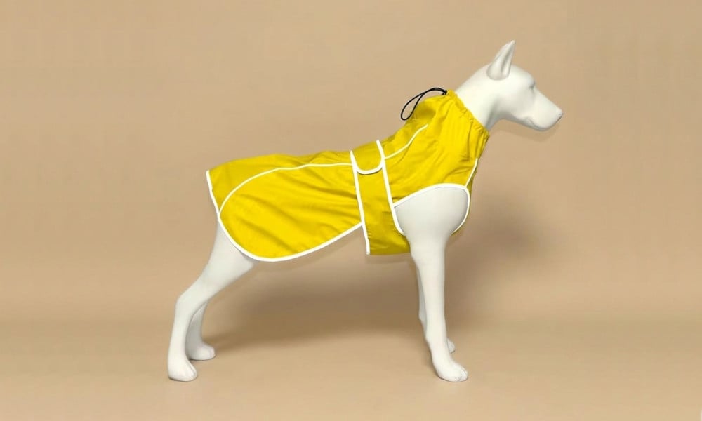 Chubasquero para perros