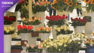 floristerias san valentín