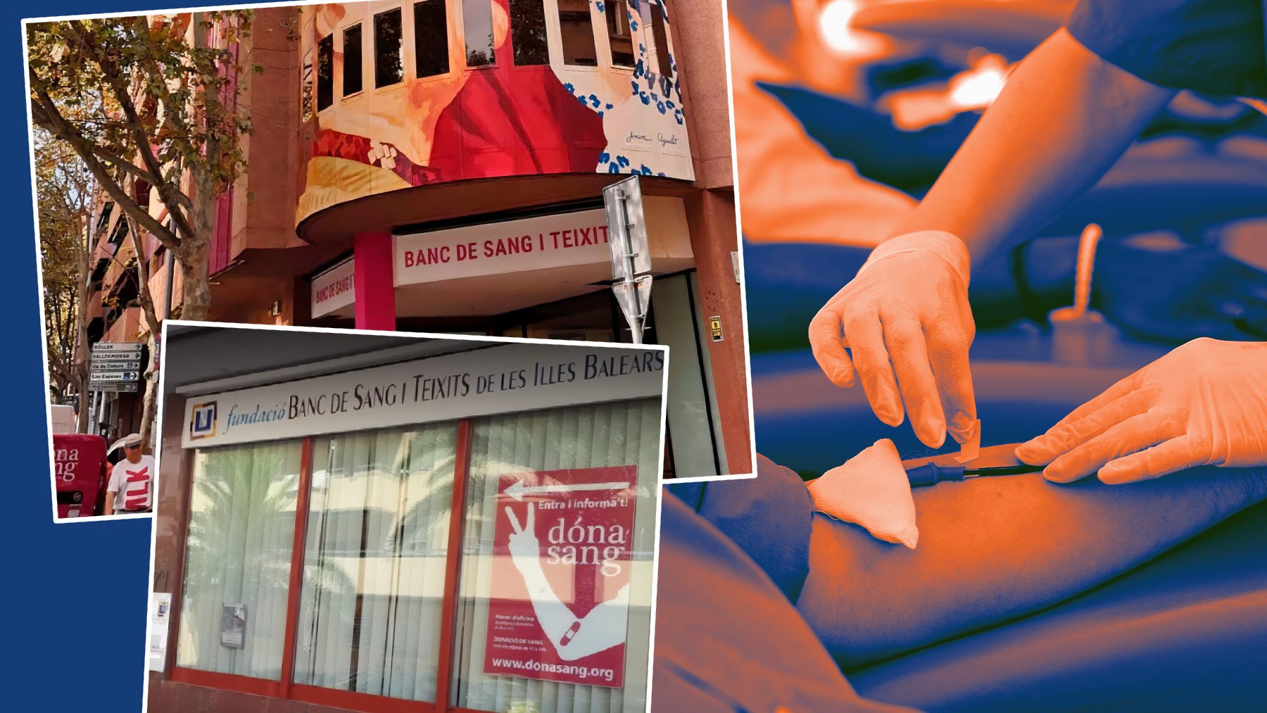 Un ciudadano se niega a donar sangre en Mallorca porque el médico que lo iba a atender no sabía catalán