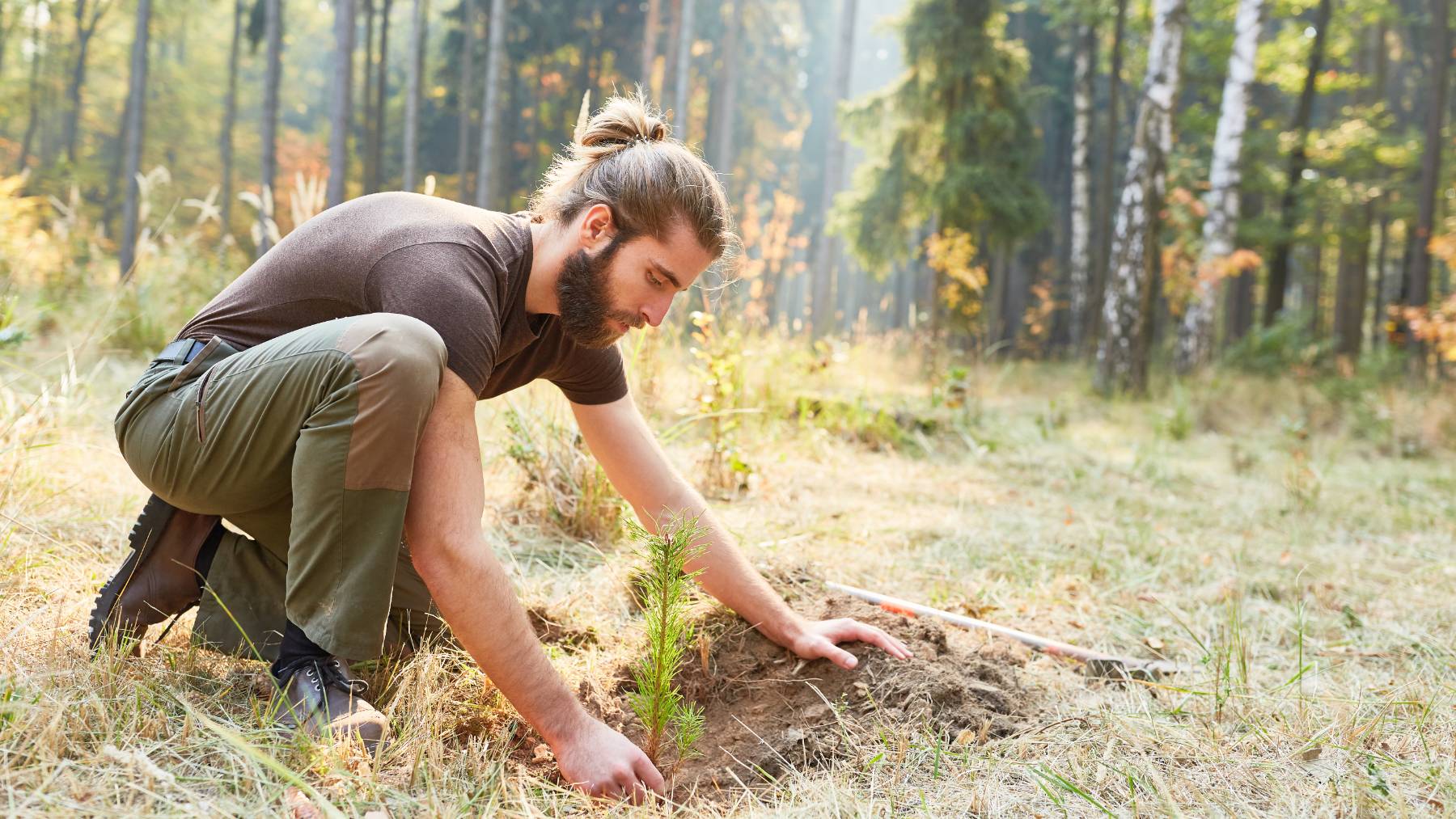 Qué significa la frase No construyas una casa a los 50, no plantes un árbol a los 60 y no cosas ropa a los 70