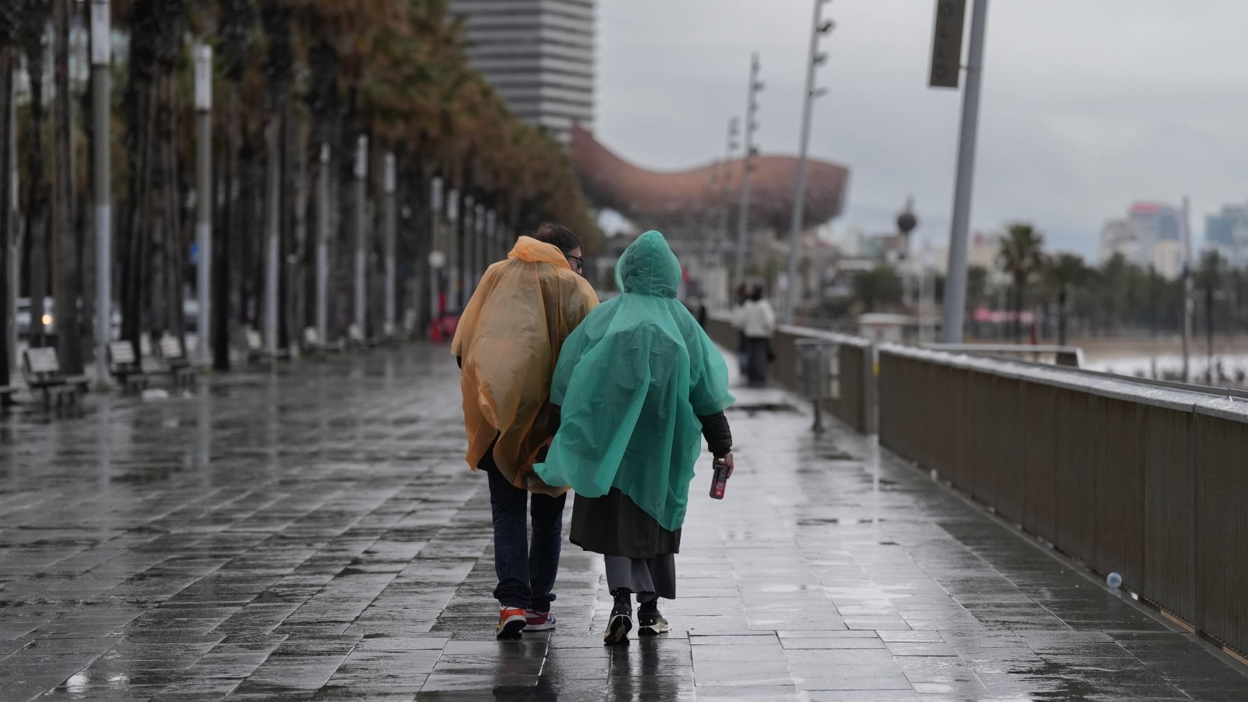 Cataluña suspende este jueves la actividad escolar, universitaria y sanitaria a causa del viento