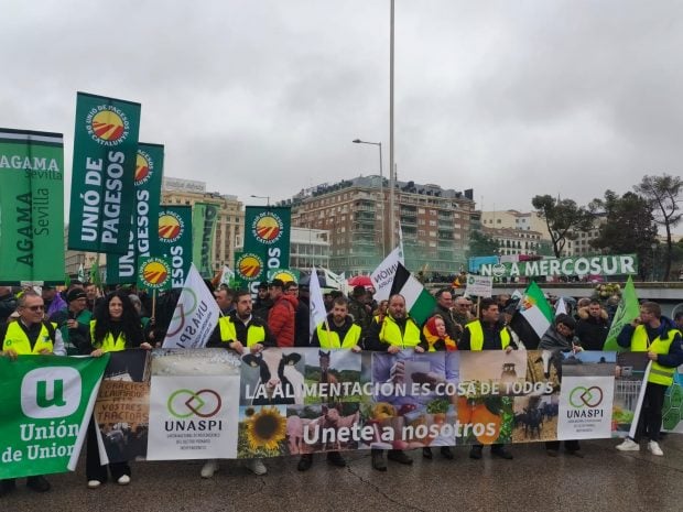 Agricultores en la protesta de este mi&eacute;rcoles en Madrid.