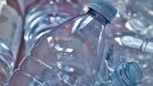 Contaminación por microplásticos en Arabia Saudí, microplásticos Arabia Saudita, peligro por microplásticos en Golfo Árabe, contaminación microplástica arabia saudí.