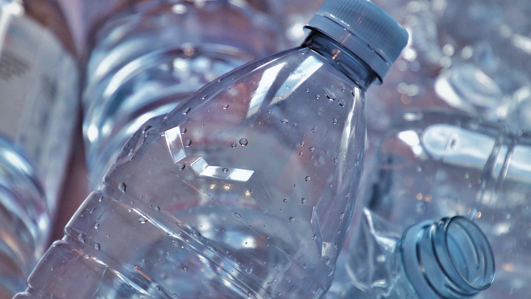 La amenaza que nadie vio venir: la contaminación microplástica amenaza los ecosistemas marinos en Arabia Saudí