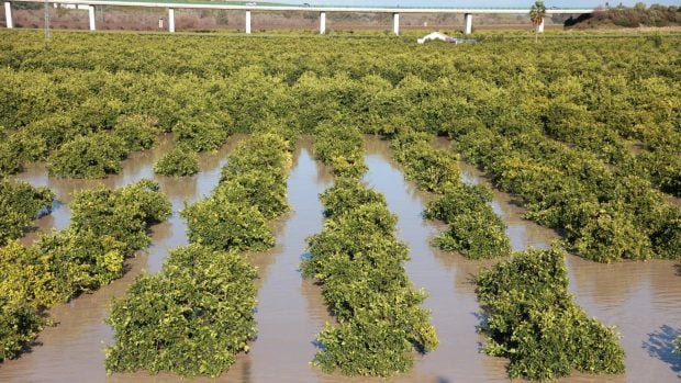 Desbordamiento río