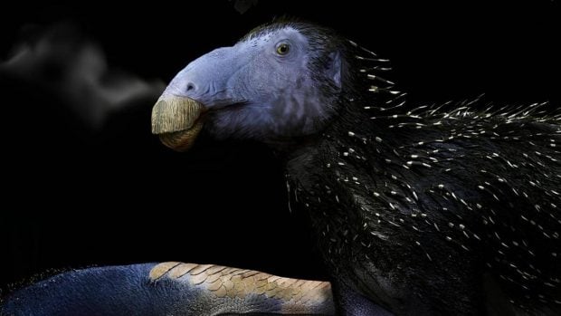 Reconstrucci&oacute;n art&iacute;stica de un dinosaurio 'Haolong dongi' / Foto &copy; Fabio Manucci