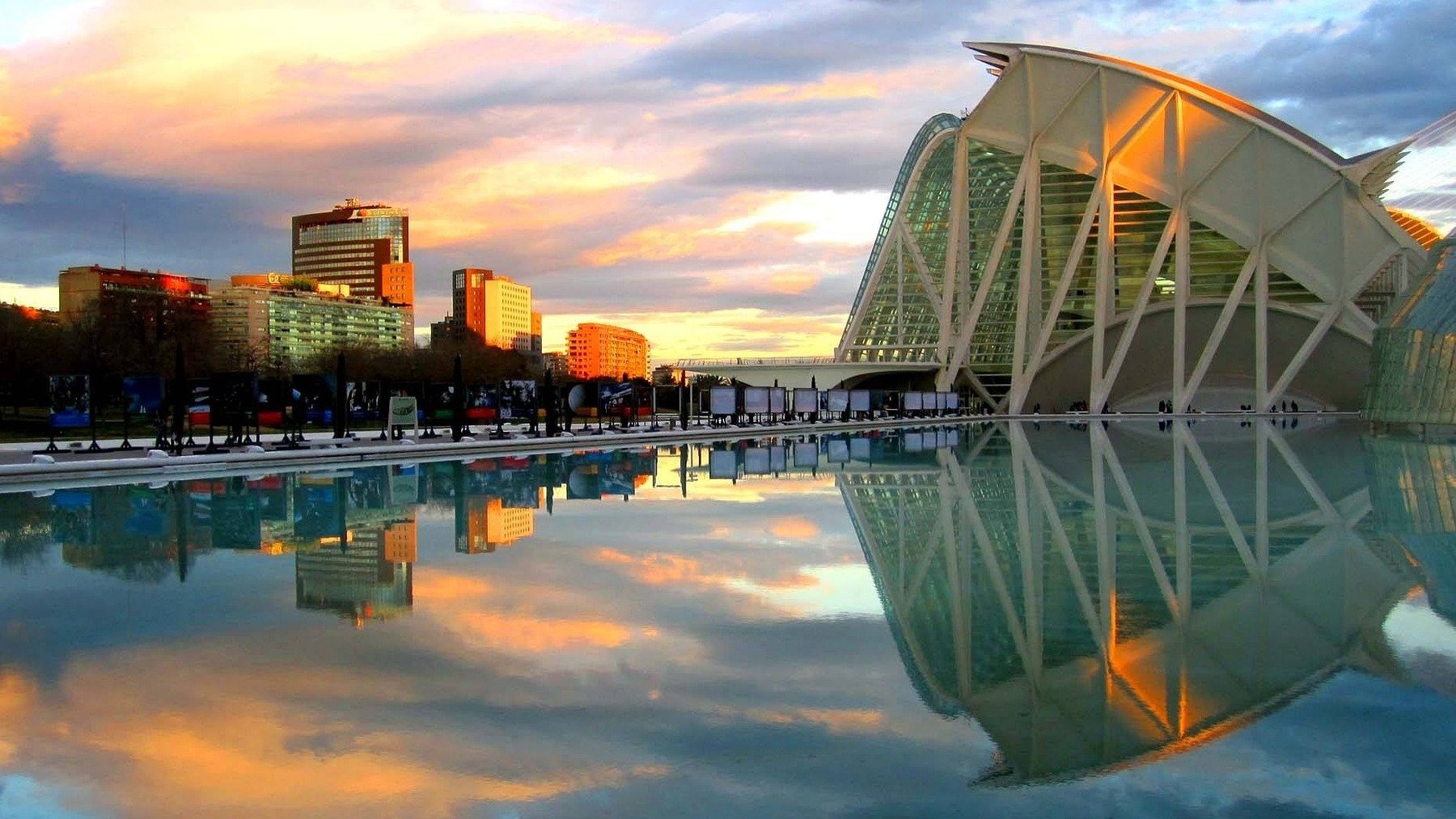 Los valencianos tienen su propio Día de la marmota: el refrán invernal que nadie más en España entiende