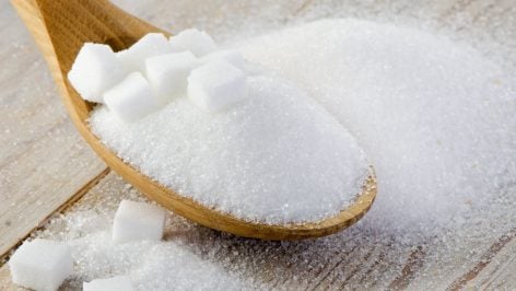 Azúcar tradicional en polvo y en forma de terrones.