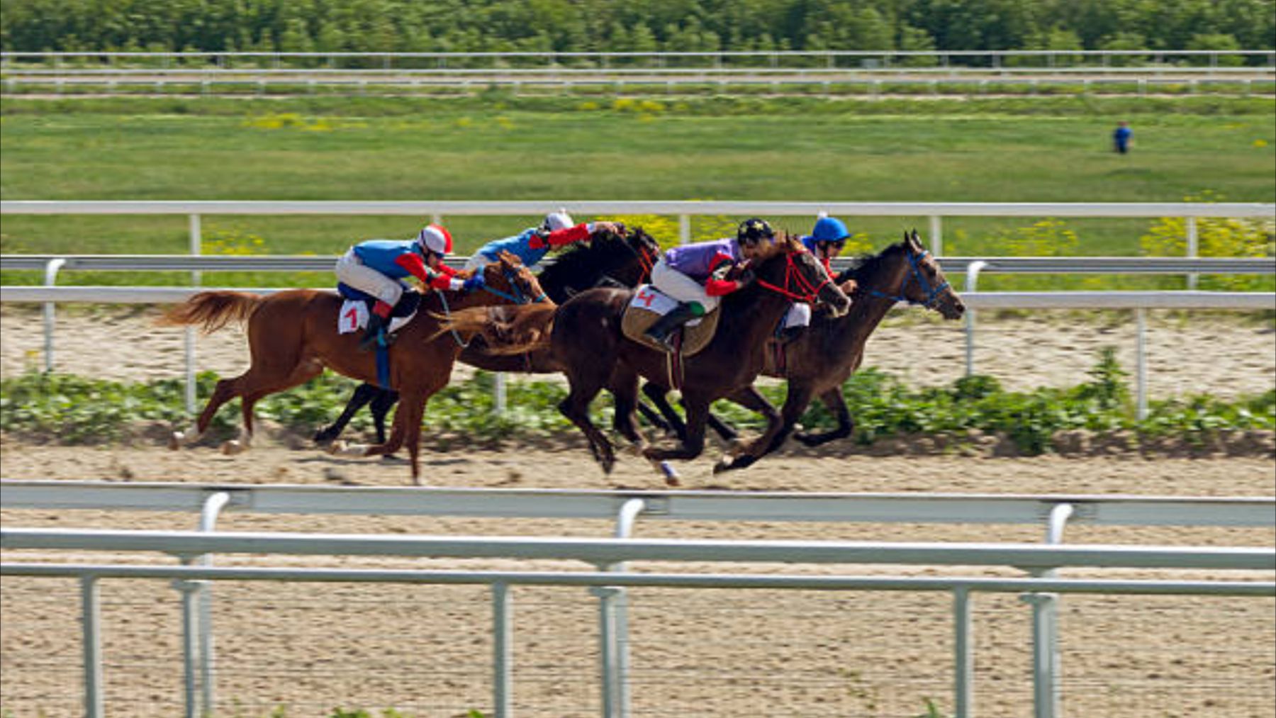 Carreras en el Hipódromo de La Zarzuela Madrid: horario, calendario, programa completo y precio de las entradas