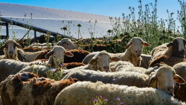 energia-solar-espana