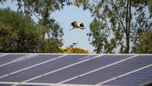 energia-solar-espana