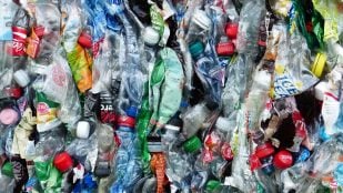 Acumulación plásticos en manglares de Colombia, científicos comprueban que el manglar de Colombia acumula basura, microplásticos en manglar colombiano, manglares colombianos y acumulación de basura.