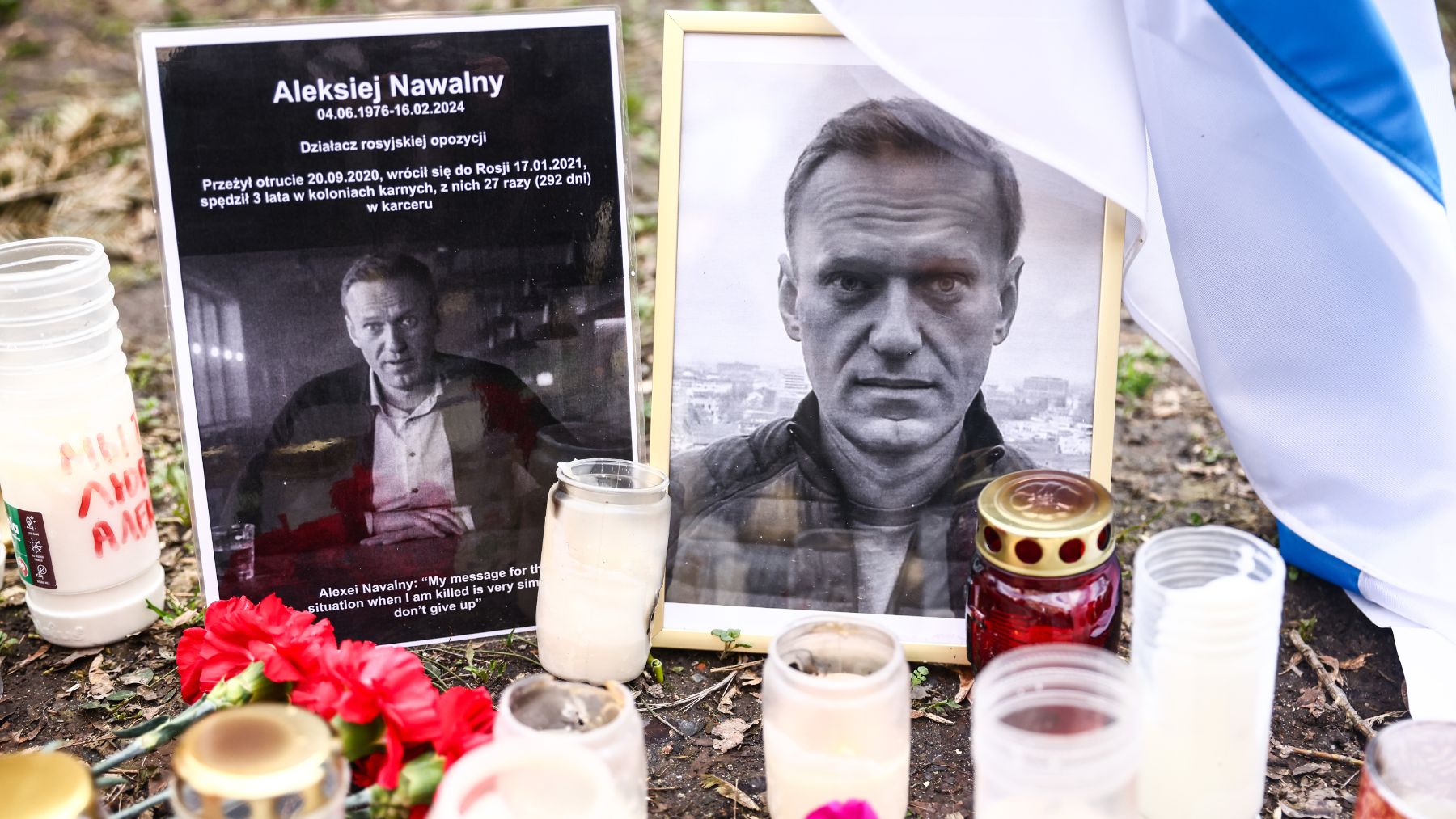 Alemania y Reino Unido acusan a Rusia de asesinar a Navalni con la toxina de una rana venenosa de Ecuador