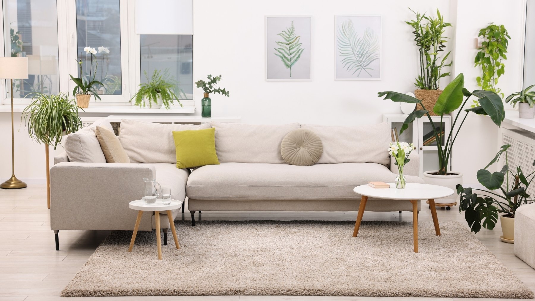 Ni el baño ni el salón: el lugar donde debes colocar un vaso de agua para limpiar las malas energías de tu casa, según el Feng Shui