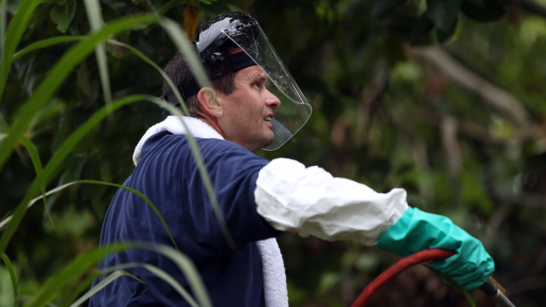 España, tercer exportador de plaguicidas: frutas y hortalizas contaminadas llegarán a España de Mercosur