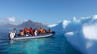 Macroalgas en Groenlandia, detectan miles de algas en Groenlandia, carbono en Groenlandia, fondo oceánico Groenlandia.