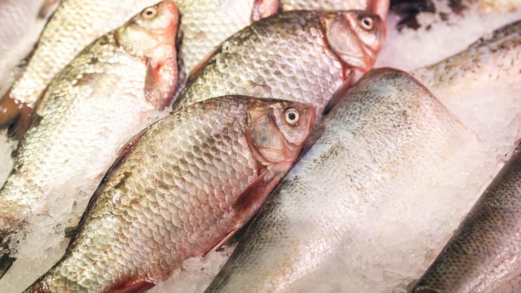 Luis, pescadero profesional: Para saber si un pescado es fresco y no os engañen, fijaos en la textura