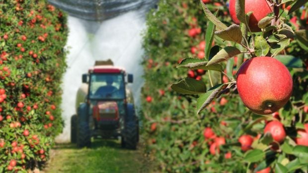 Fumigación en un cultivo de manzanas