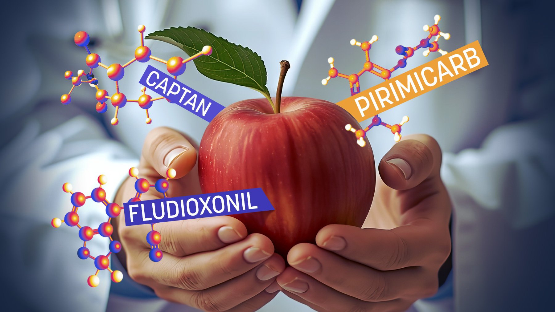 Hogar sin tóxicos recuerda que las manzanas están entre las frutas más consumidas y recomienda optar por fruta ecológica para reducir la exposición.