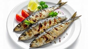 Recetas de sardinas