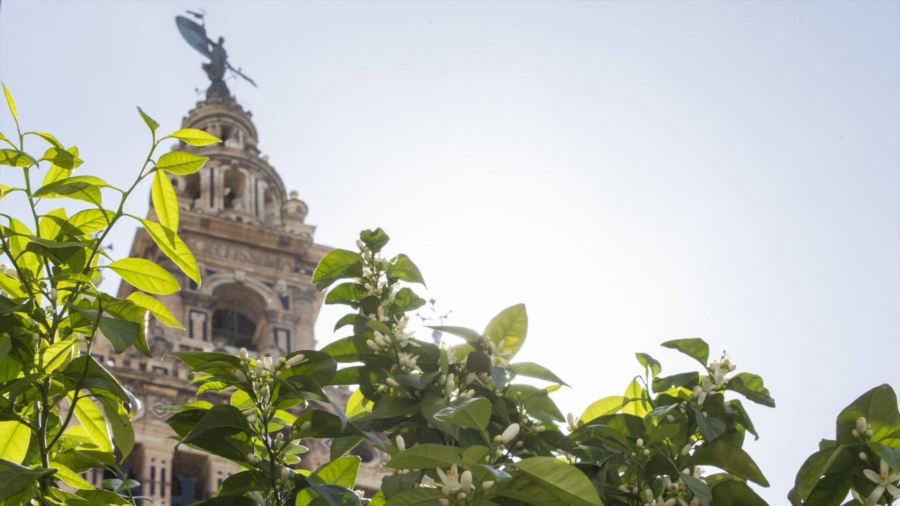 El tiempo hoy, 17 de febrero de 2026, en Andalucía. (Europa Press)