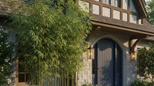 Planta, Feng Shui, curiosidades