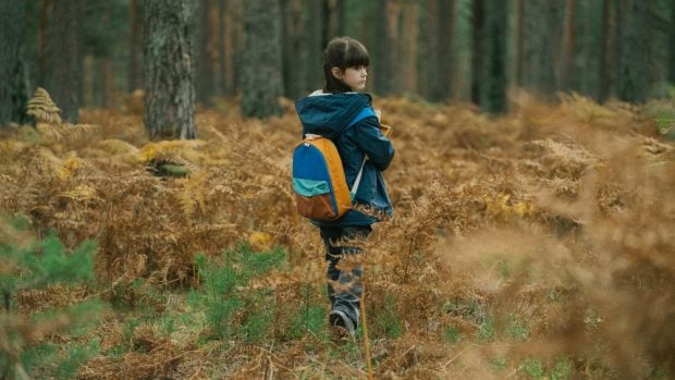 Cortafuego Bel&eacute;n Cuesta