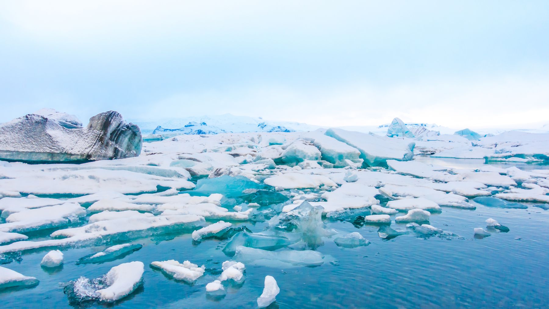 Los científicos se ponen a temblar: el deshielo antártico ya libera microbios que llevaban miles de años congelados