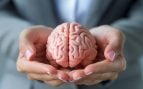 Mantener el cerebro “joven” no depende de la toma de suplementos ni de la realización de ejercicios milagrosos