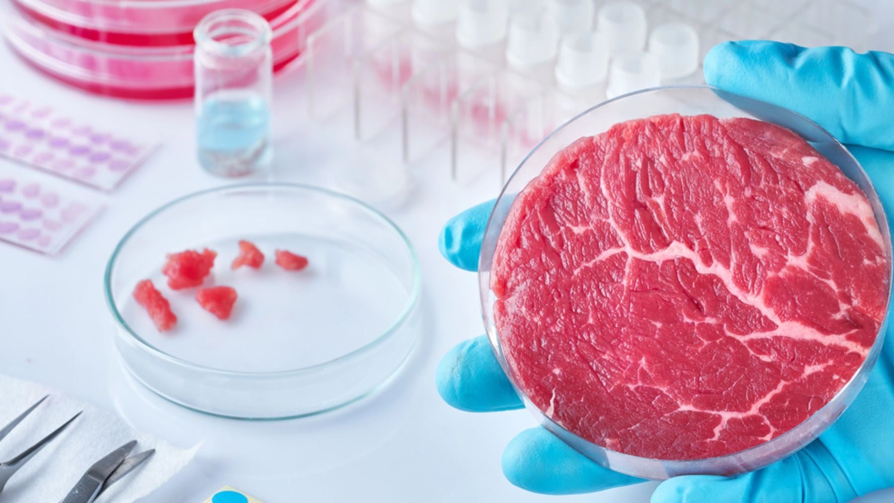 Un estudio desmonta la idea de que la carne cultivada produzca menos alergia que la convencional