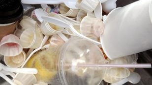 Uso de algas en la fabricación de envases biodegradables, científicos españoles usan algas para reducir el uso de plásticos, usos de los residuos de plásticos, cómo favorecer economía circular y medioambiente.