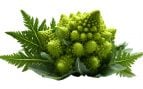 Recetas romanesco