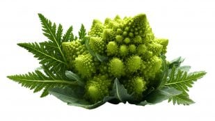 Recetas romanesco