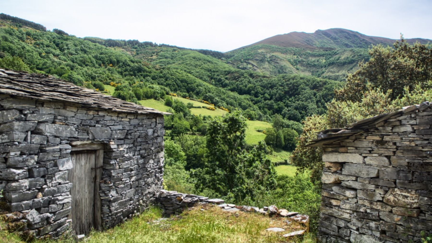 La desconocida ruta senderista que esconde el mayor tesoro botánico de Galicia y rebosa de esplendor en primavera