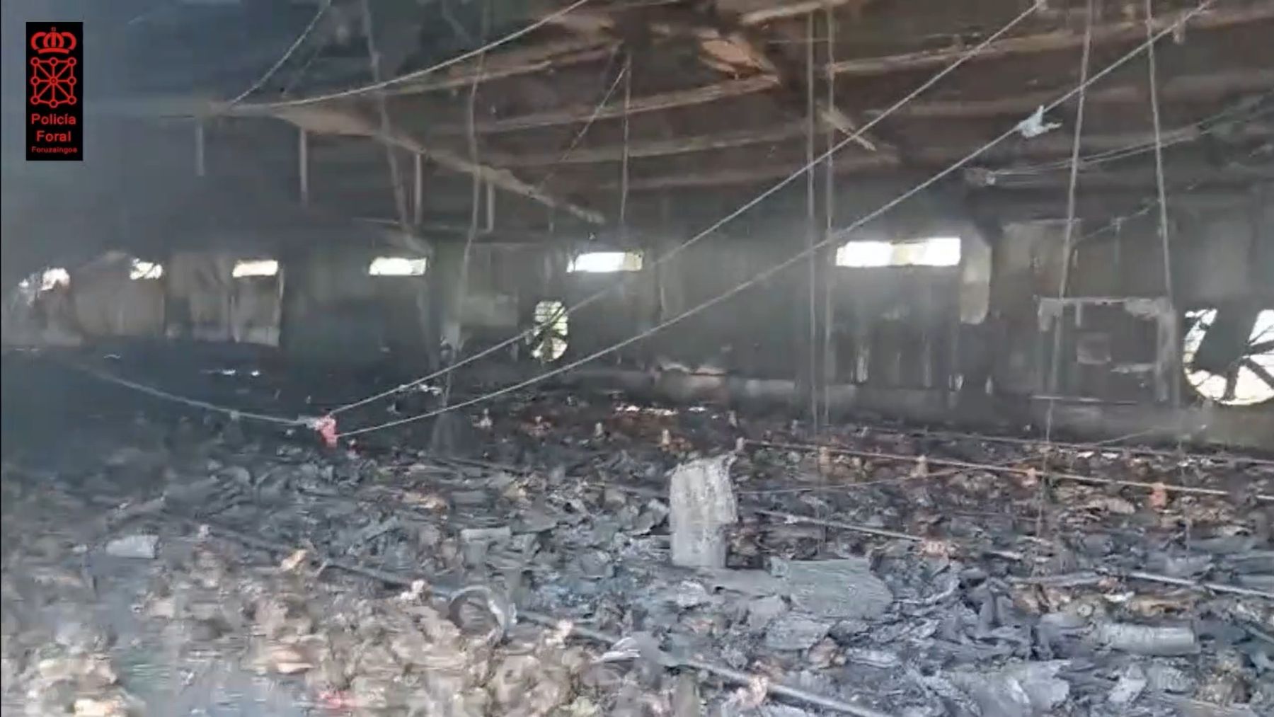 Incendio en Villafranca (Navarra): mueren más de 10.000 pollos en una granja