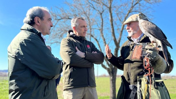 Novillo control especies