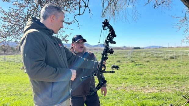 Novillo control jabalíes